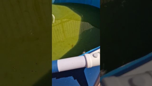 очередной сюрприз от бассейна bestway, или как слить воду полностью? смотреть онлайн