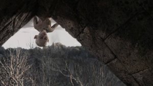 Линда - Цепи и кольца (revision '2023)