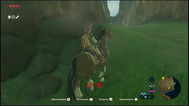 бабка Импа (The Legend Of Zelda: BotW) #2
