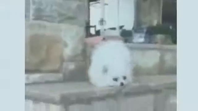 ЭТО ФИАСКО Enjoykin style смотреть онлайн