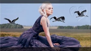 УНЕСИТЕ МЕНЯ ЖУРАВЛИ ♥ КРАСИВЫЕ ПЕСНИ ДЛЯ ДУШИ WLV ♥