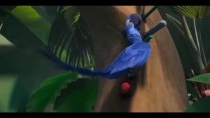 Первая встреча Голубчика и Жемчужинки | Рио (2011)