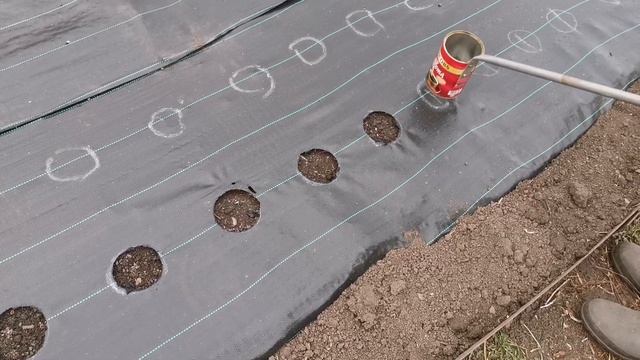 Как сделать отверстия на агроткани. смотреть онлайн