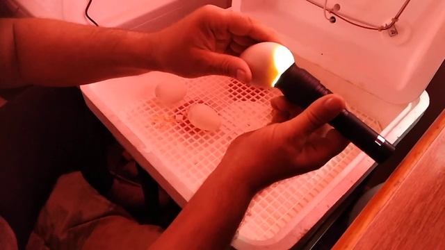НЕУДАЧА смотреть онлайн