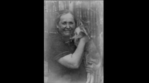 Ленинградский зоопарк в годы блокады