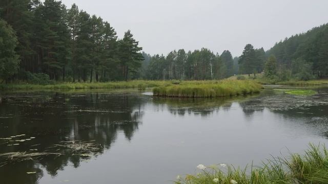ТАЛЬКОВ КАМЕНЬ смотреть онлайн