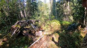 Промысловая изба,быт таёжников прошлых лет.