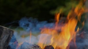 СПИ С БИБЛИЕЙ: Успокойся и усни, Места Писания