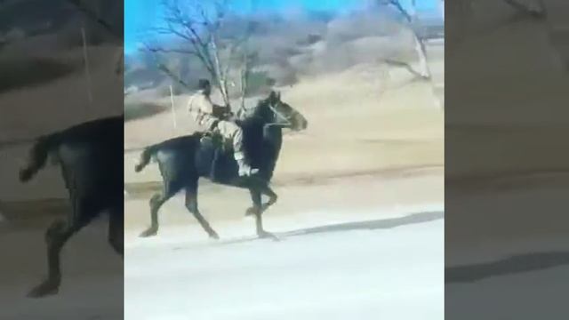 Иноходь смотреть онлайн