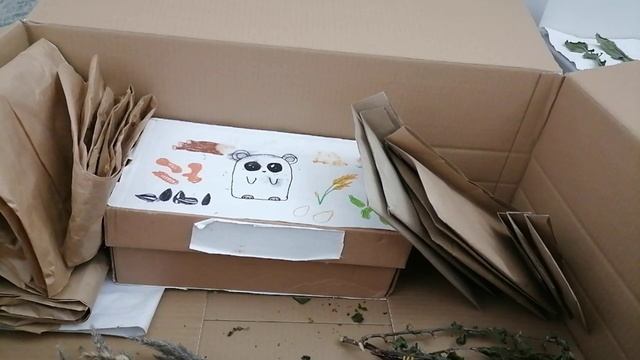 КАК СУШИТЬ И ГДЕ ХРАНИТЬ ТРАВЫ ДЛЯ ХОМЯКОВ ?|| СОБИРАЮ И СУШУ ТРАВЫ ХОМКИ✨ смотреть онлайн