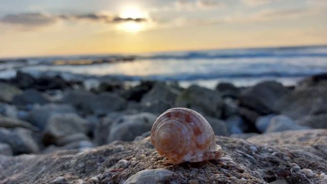 Каменные сердечки и не только...#сердце #море #heartstone #sea #לבבות #ים смотреть онлайн