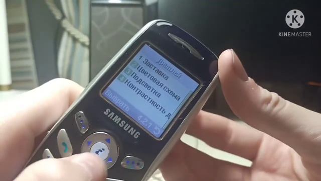 Обзор телефона Samsung SGH-X100 смотреть онлайн