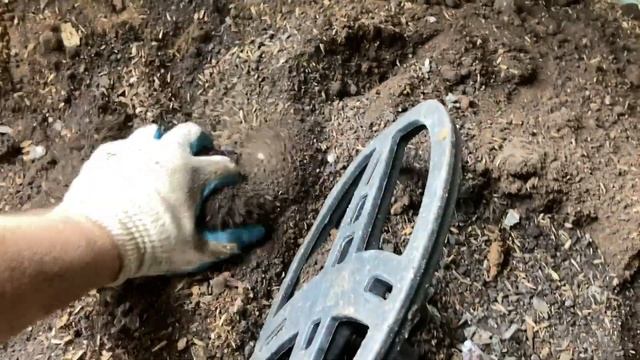 Поиск монет в старом доме смотреть онлайн