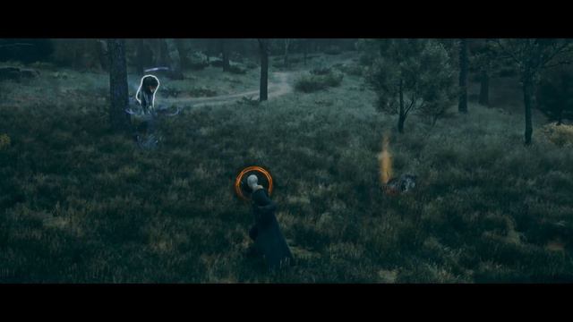 Voldemort The Explorer