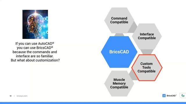 BricsCAD in your Current Environment смотреть онлайн
