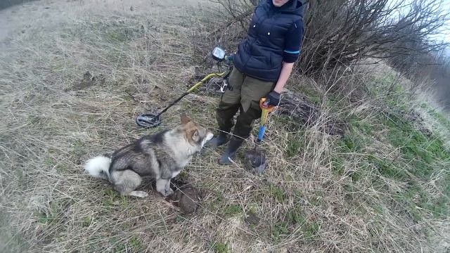 Собака кладоискатель,куча монет в земле смотреть онлайн