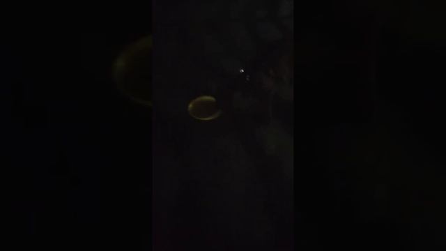 Гарсон!!! смотреть онлайн