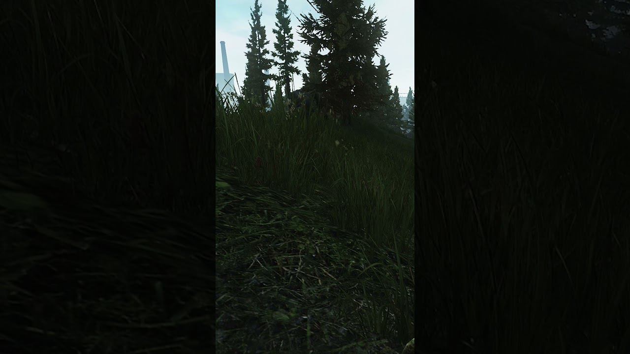 Рождение ЧВКашника в Таркове #kreonil #tarkov