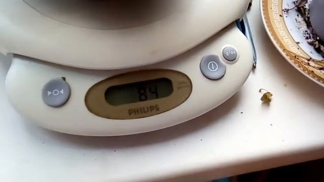 Как сделать овсяное печенье? Очень легко. смотреть онлайн