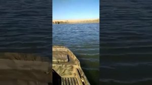 Тест лодки пнд 4.5м мотор болотоход 22л.с