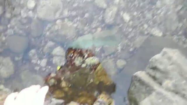 Голубые озера ,фантан у гор ,реки (годный контент). смотреть онлайн