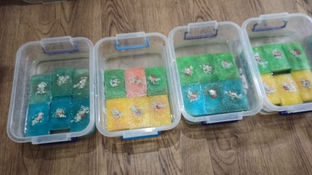 АУЛОФОРУС КАК ЕГО ВЫРАЩИВАТЬ. СЮРПРИЗ ОТ ДАФНИИ. Подрастают гуппи смотреть онлайн