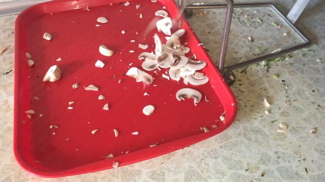 Быстрая нарезка грибов слайсером смотреть онлайн