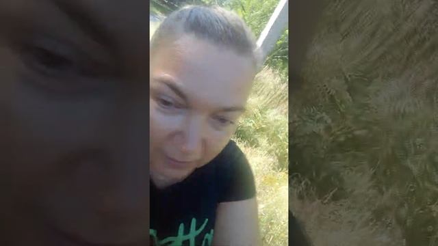 Амброзия!Как выглядит Амброзия!Первая помощь при аллергических реакциях! 01.09.2021года #амброзия смотреть онлайн