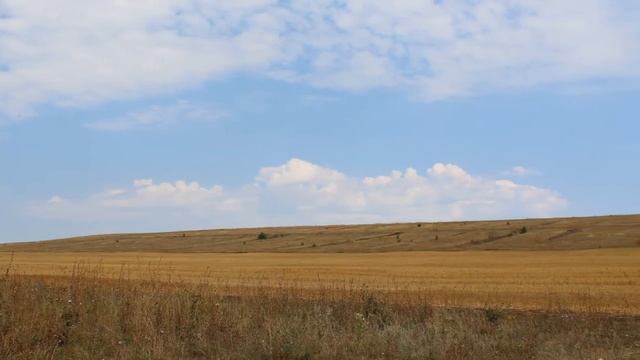Село мое родное Ансамбль Промагро смотреть онлайн