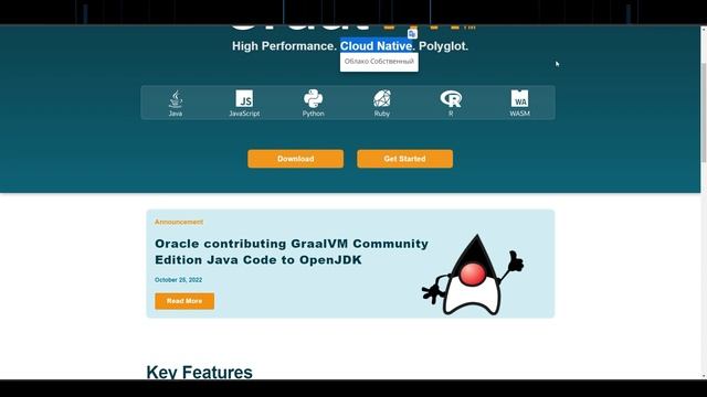 GraalVM Native Image. Что это? Зачем? И почему? смотреть онлайн