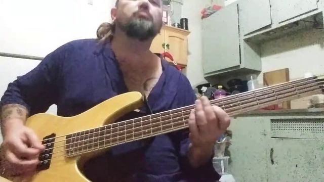 "Sledgehammer" by Peter Gabriel Bass Cover смотреть онлайн