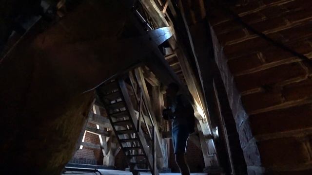 ПРАВДИНСК | МЫ В ВОСТОРГЕ! | КАЛИНИНГРАДСКАЯ ОБЛАСТЬ | день 12 часть 1 смотреть онлайн