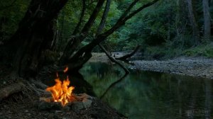 Что делать, если в цветах завелись белые насекомые?