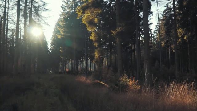 Медитация. Открытие Канала Любви. Привлечение любви, счастья, благополучия смотреть онлайн