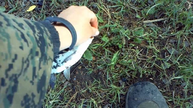 Рыбалка в Кировском районе !