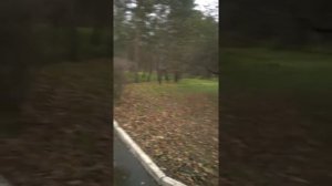 Старая Русса,соленый ручей.