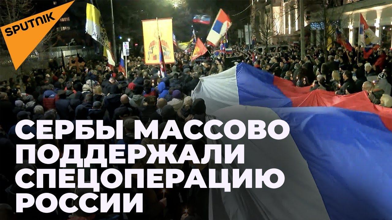 Видеограф Владимир Виноградов