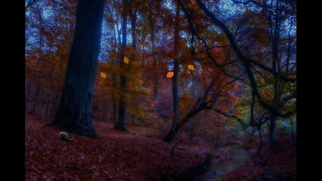 Abschied смотреть онлайн