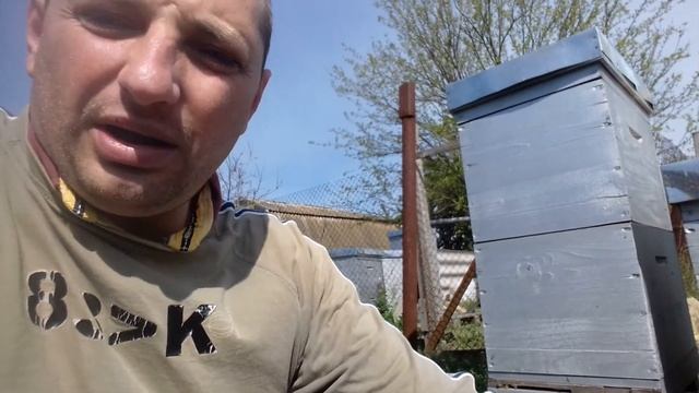 Рекомендую, почти ВЕЧНУЮ краску ДЛЯ УЛЬЕВ! смотреть онлайн