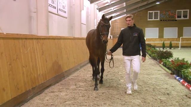 On Top JS (v.Jarville x Ampere) смотреть онлайн