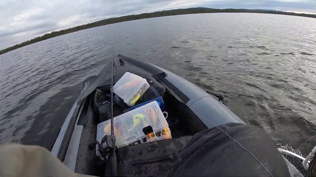 BROCHET MÉTRÉ AU GROS DELALANDE SKELETON 18CM ! смотреть онлайн