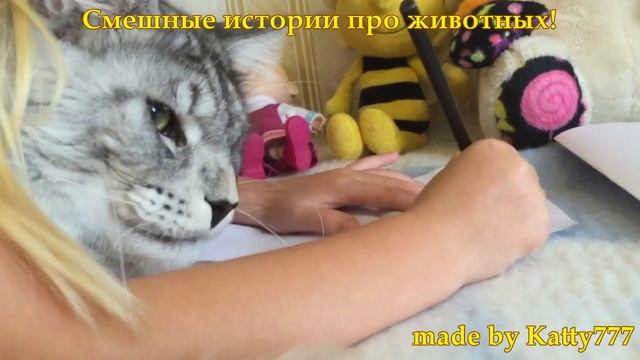 Пчелка Майя, панда, Йорк и котенок на уроке рисования. Лакки и Лео! Мультик для детей смотреть онлайн