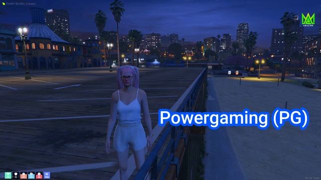 กฎพื้นฐานของ GTAV roleplay FiveM смотреть онлайн