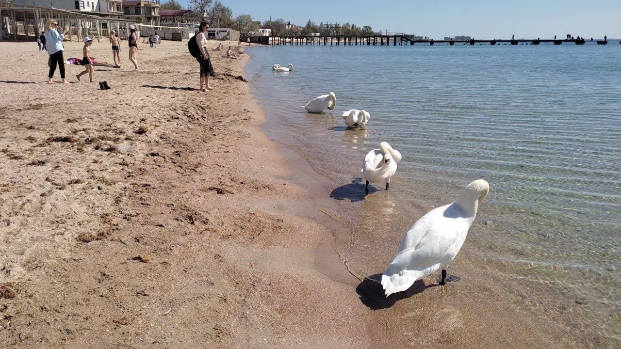 Евпатория 2024. 100 миллионов на тротуары и новый мэр!!! Прогулка по улице и парку Фрунзе. смотреть онлайн