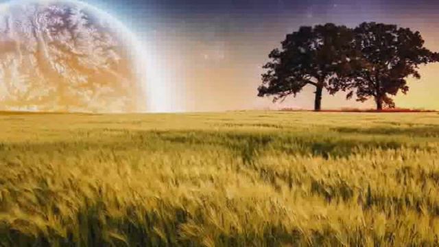 Практика проработки ситуаций прошлого влияющие на настоящее. смотреть онлайн