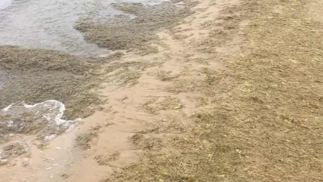 ГРЯЗНОЕ МОРЕ В АНАПЕ (ДЖЕМЕТЕ) в МАЕ. НЕ ЕДЬТЕ СЮДА! смотреть онлайн