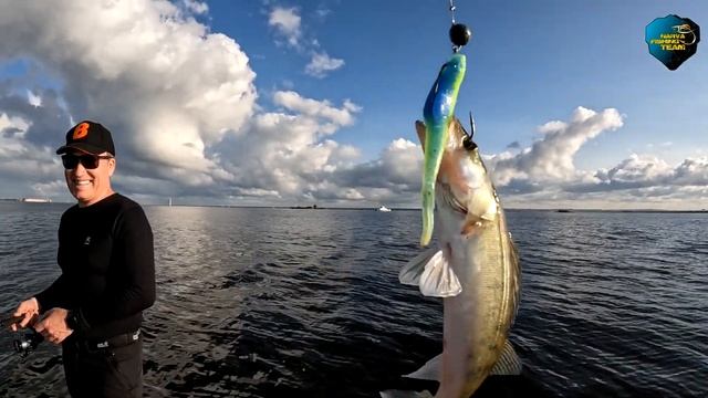 Питерский судак. смотреть онлайн