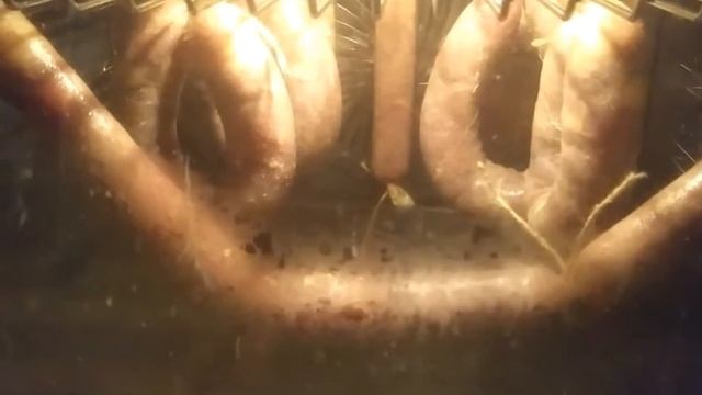 Краковская колбаса по рецепту блогера. Многое на глаз, но результат ? смотреть онлайн