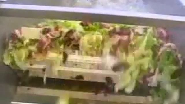 ЛИНИЯ ОБРАБОТКИ САЛАТОВ смотреть онлайн