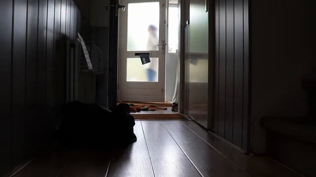 Spend a Boring Day with me~ смотреть онлайн